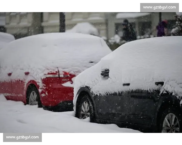 极端天气下滑雪意外频发安全防护亟待加强 极端天气下滑雪意外频发安全防护亟待加强
